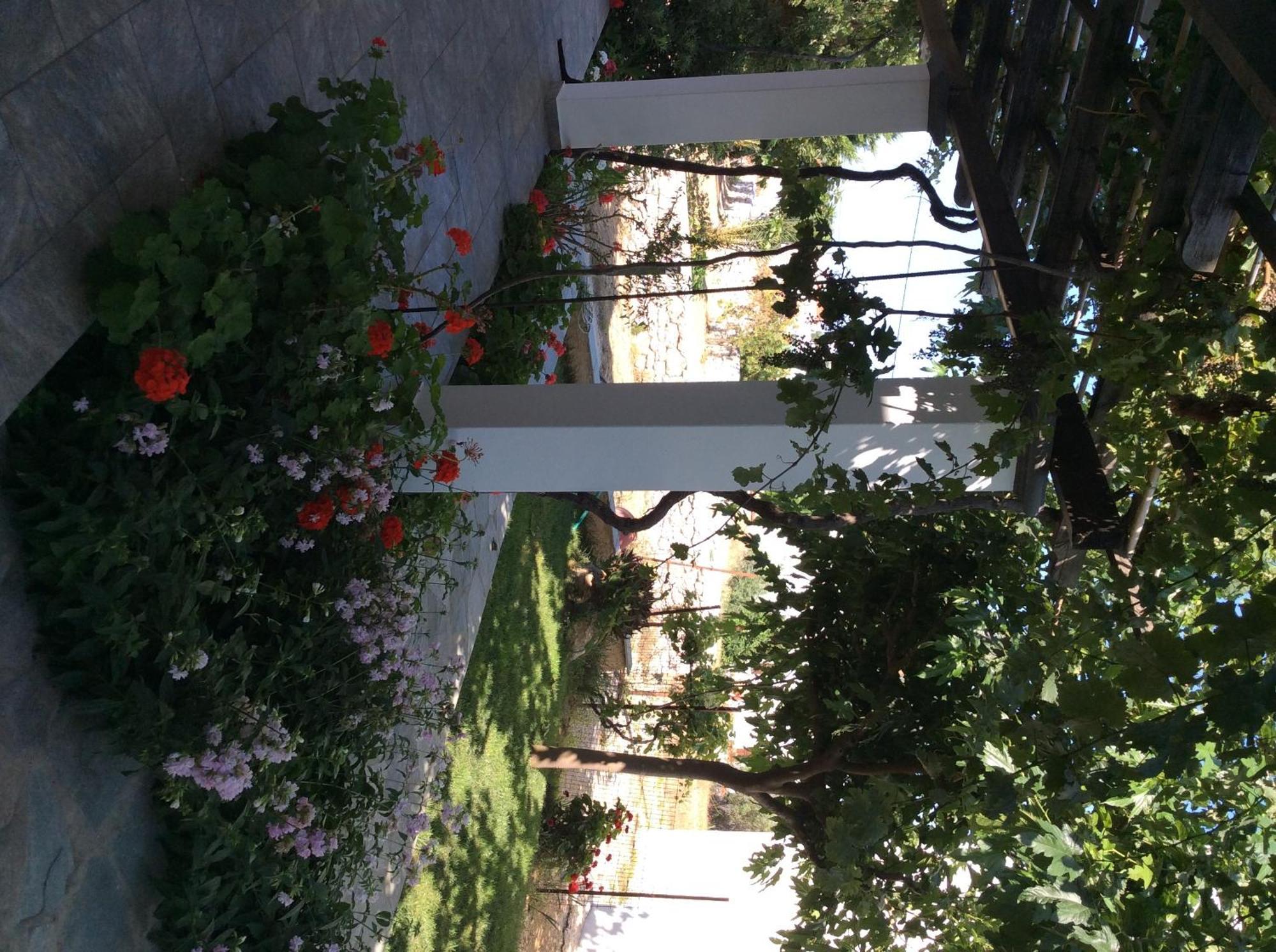 سكيروس Eleana Studios المظهر الخارجي الصورة