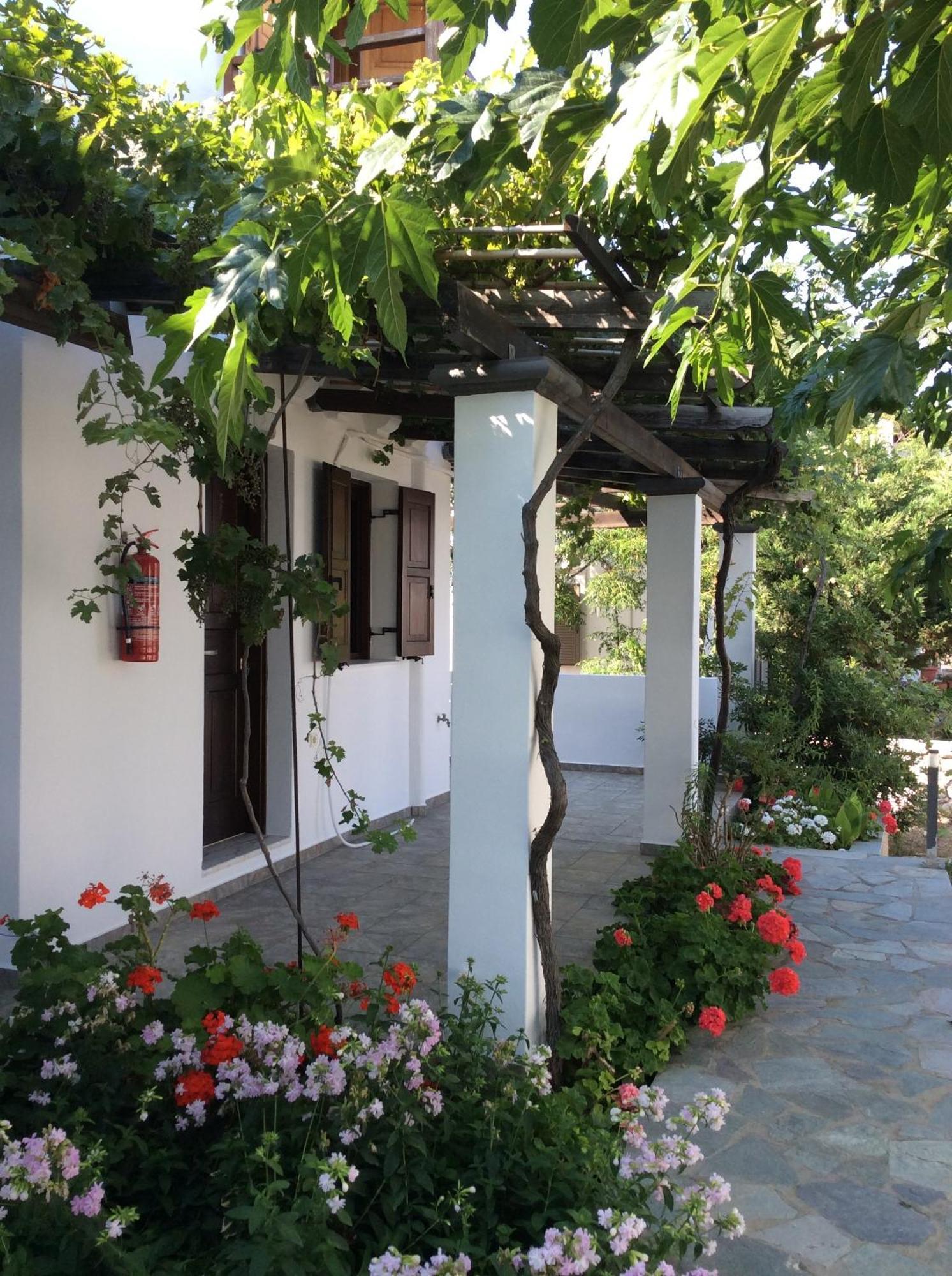 سكيروس Eleana Studios المظهر الخارجي الصورة