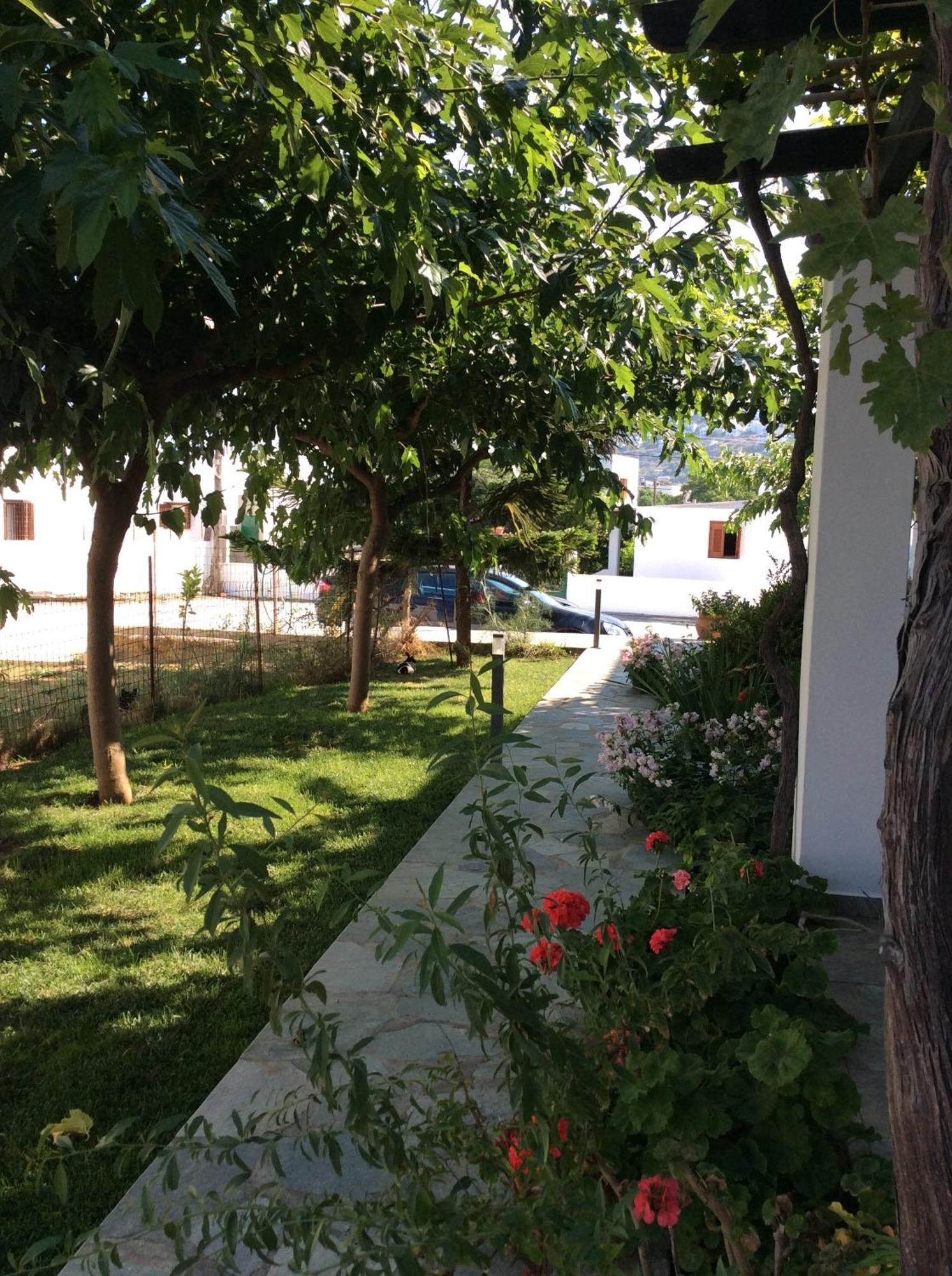 سكيروس Eleana Studios المظهر الخارجي الصورة