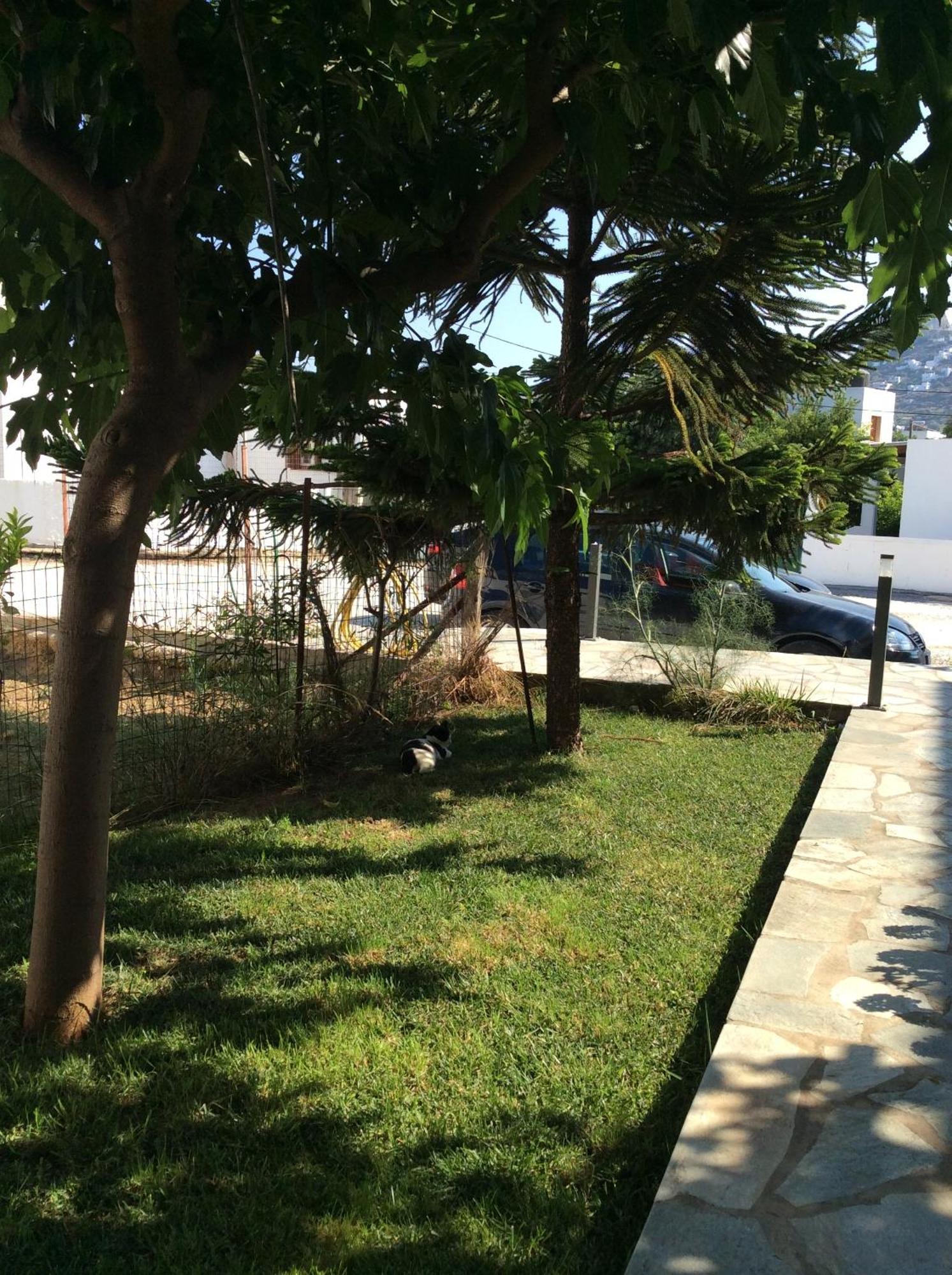 سكيروس Eleana Studios المظهر الخارجي الصورة