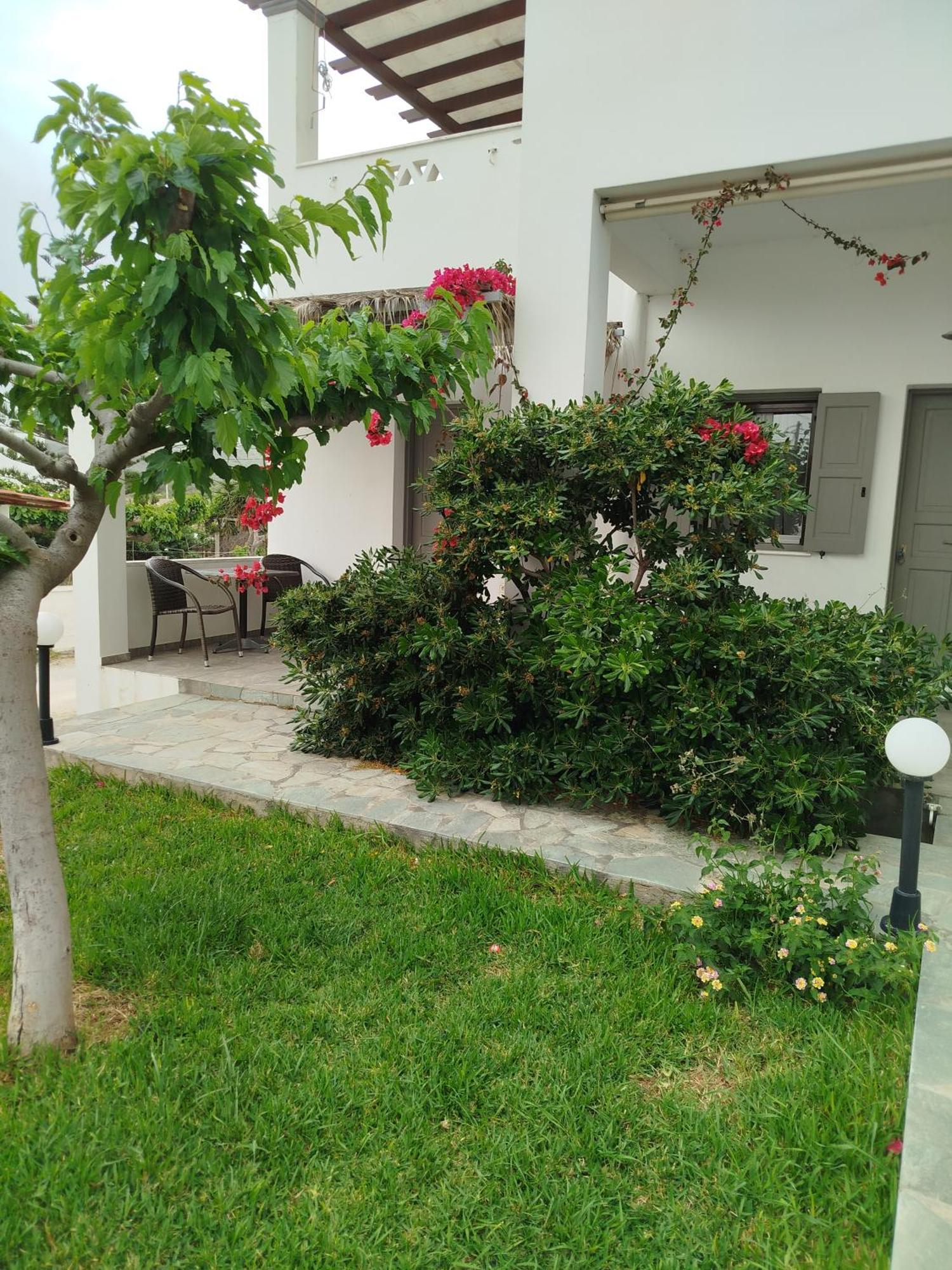سكيروس Eleana Studios المظهر الخارجي الصورة